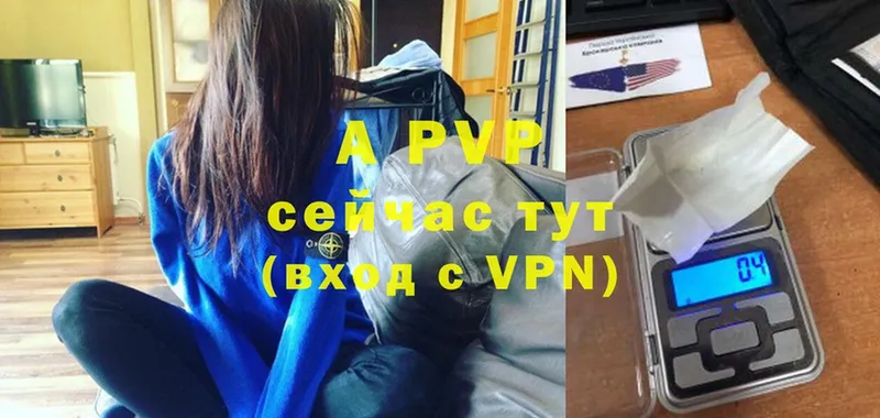 A-PVP СК КРИС  Курильск 